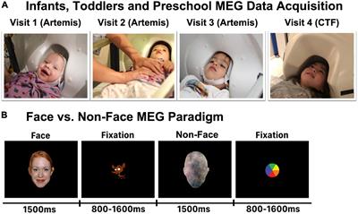 Maturational trajectory of fusiform gyrus neural activity when viewing faces: From 4 months to 4 years old